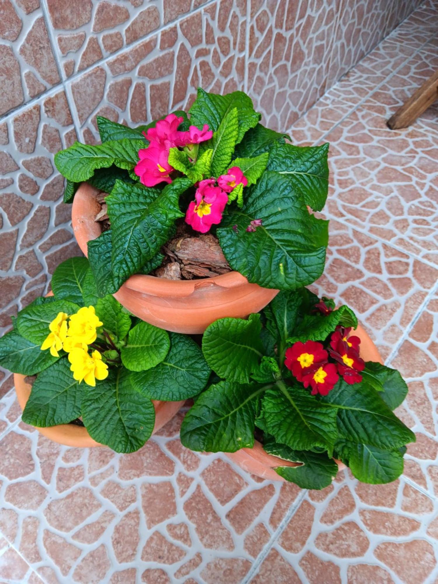 Casa Da Rosarinha Villa Agua de Alto ภายนอก รูปภาพ